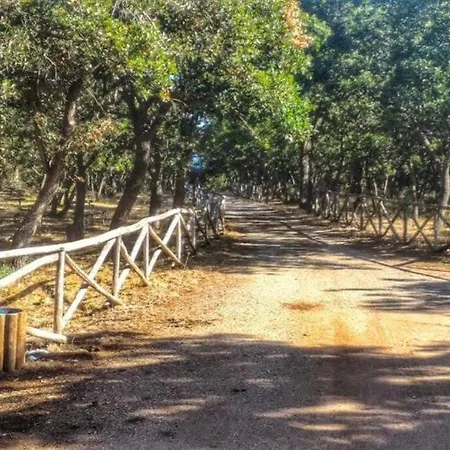 Apartamento Centralissimo Mottola